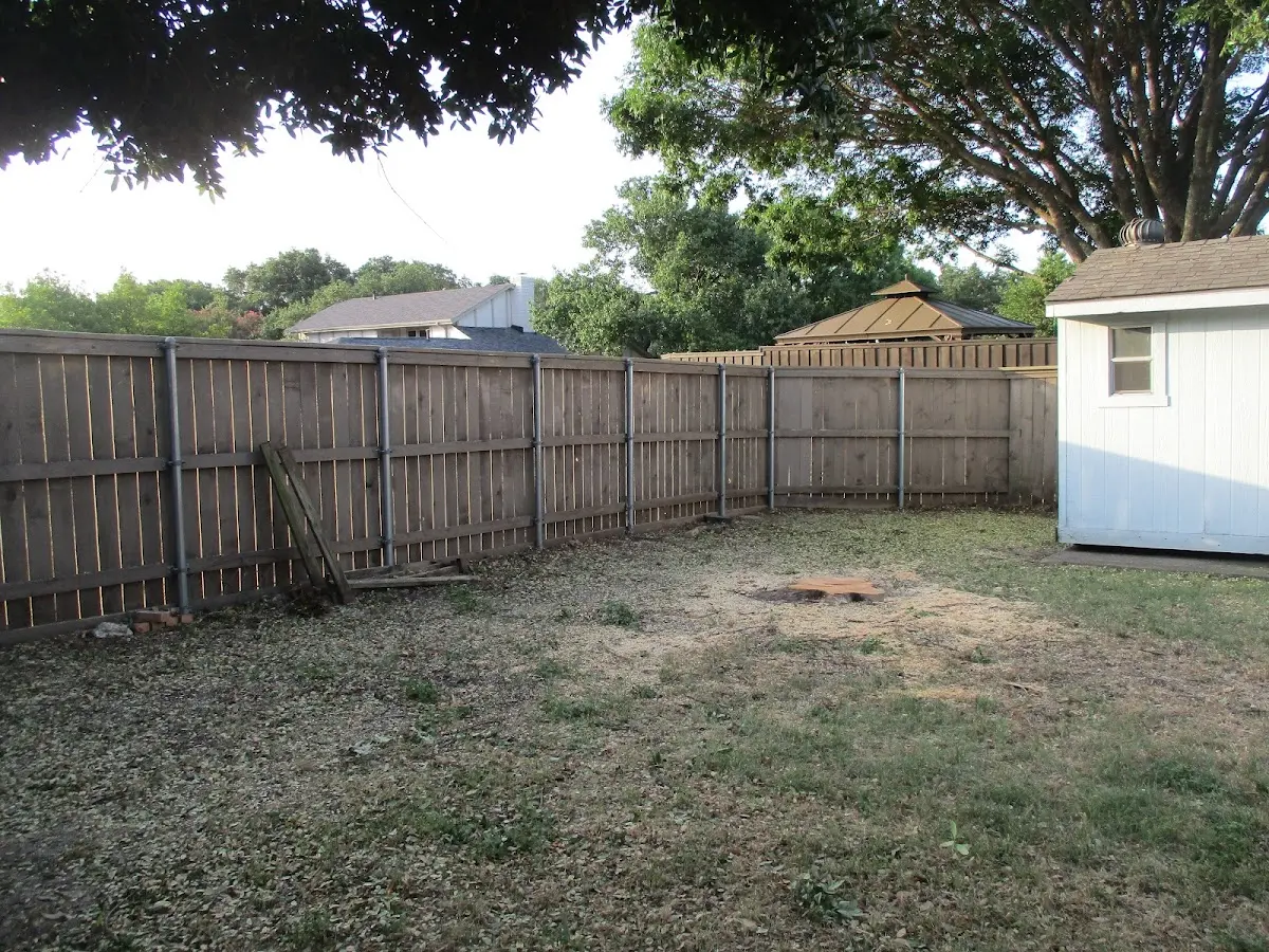 Cleared yard after professional tree removal in Lindale